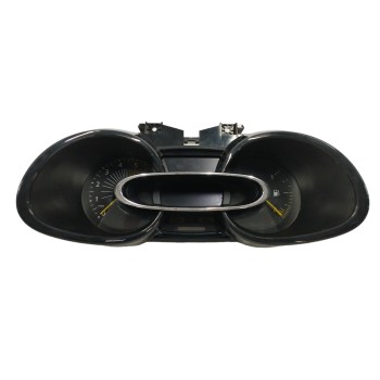 CUADRO INSTRUMENTOS 248108897R 