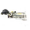 Recambio de enfriador egr para renault scenic ii 2.0 dci diesel cat referencia OEM IAM   