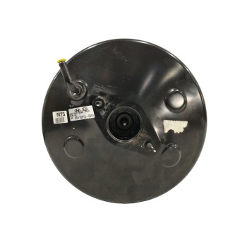 SERVOFRENO 585002S251 