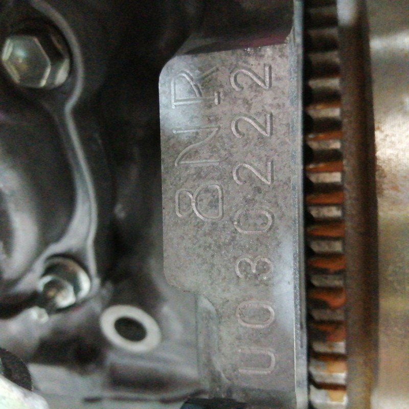 MOTOR COMPLETO