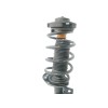 Recambio de amortiguador delantero derecho para seat toledo (5p2) 1.9 tdi referencia OEM IAM 1T0413031EJ 824904001067 