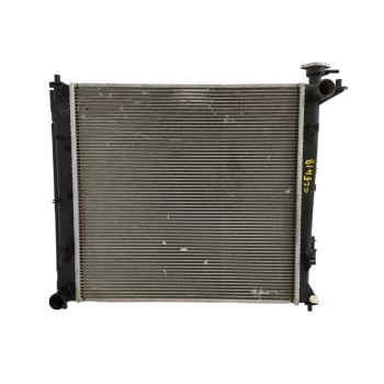 RADIADOR AGUA 253102Y000 