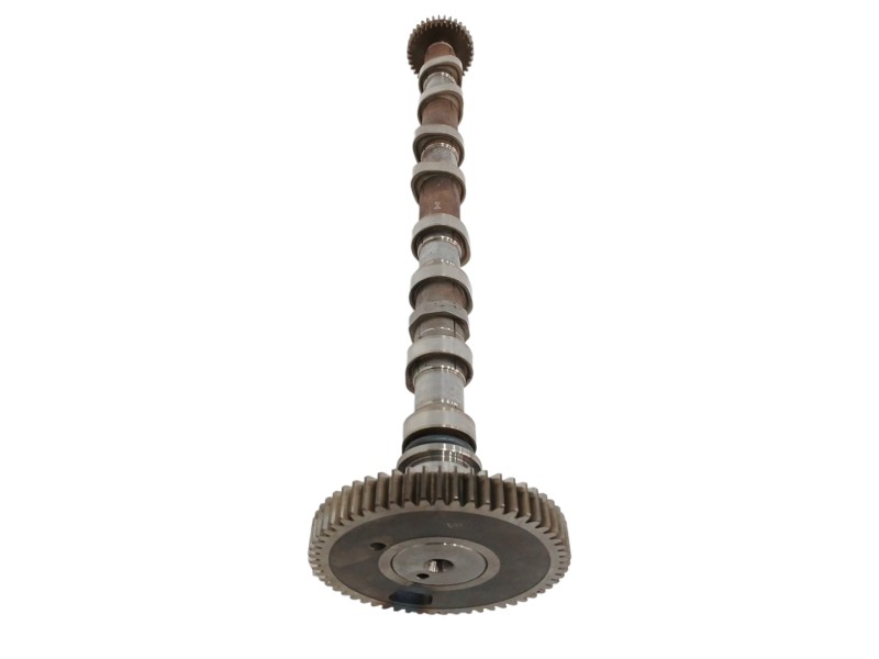 Recambio de arbol de levas para ssangyong rodius xdi premium referencia OEM IAM   