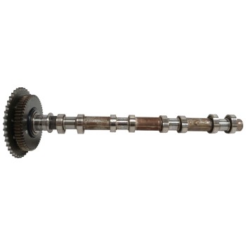 Recambio de arbol de levas para ssangyong rodius xdi premium referencia OEM IAM   
