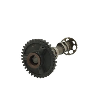 Recambio de arbol levas para bmw f 650/800 gs f 650 gs referencia OEM IAM 11317708477 ADMISION 