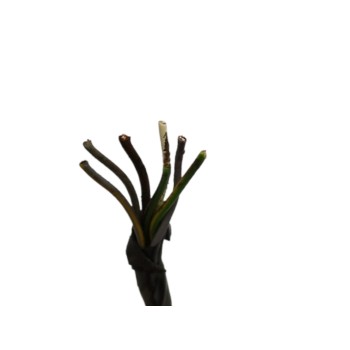 Recambio de retrovisor derecho para seat ibiza sc (6j1) 1.6 tdi referencia OEM IAM  7 CABLES 