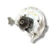 Recambio de mangueta delantera derecha para audi a4 b9 (8w2, 8wc) 2.0 tdi referencia OEM IAM 8W0407560  