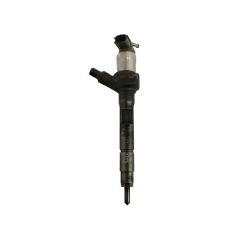 INYECTOR R2AA13H50 001106M13541 
