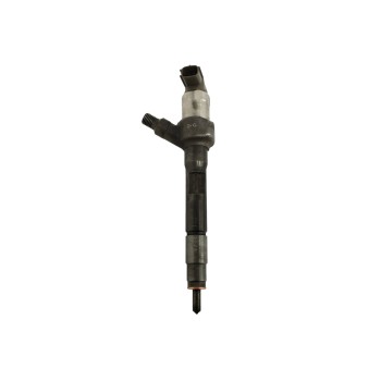 INYECTOR R2AA13H50 001106M13541 