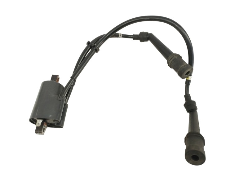 Recambio de bobina alta para yamaha fzs 600 / 1000 fazer fzs 600 fazer   (rj02) referencia OEM IAM 5DM00J0313 1297003760 