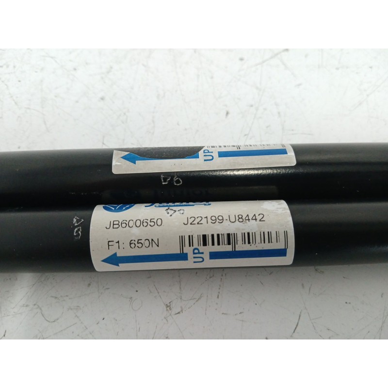 AMORTIGUADORES MALETERO / PORTON