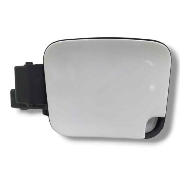 TAPA EXTERIOR COMBUSTIBLE 9808725080 