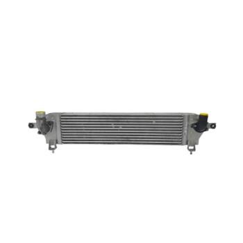 Recambio de intercooler para nissan qashqai i (j10, nj10) 2.0 dci referencia OEM IAM   