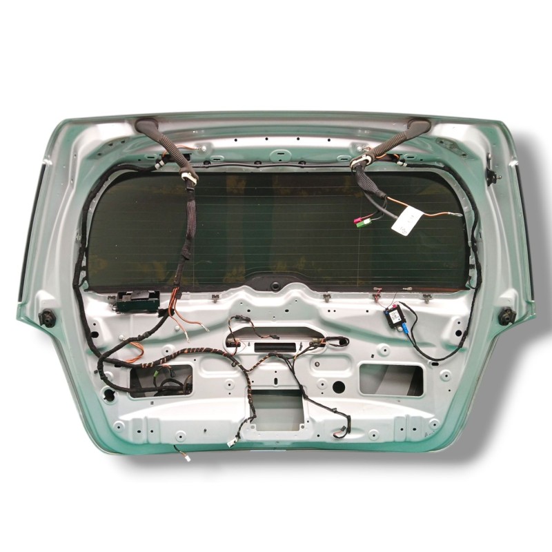 PORTON TRASERO A1647401305