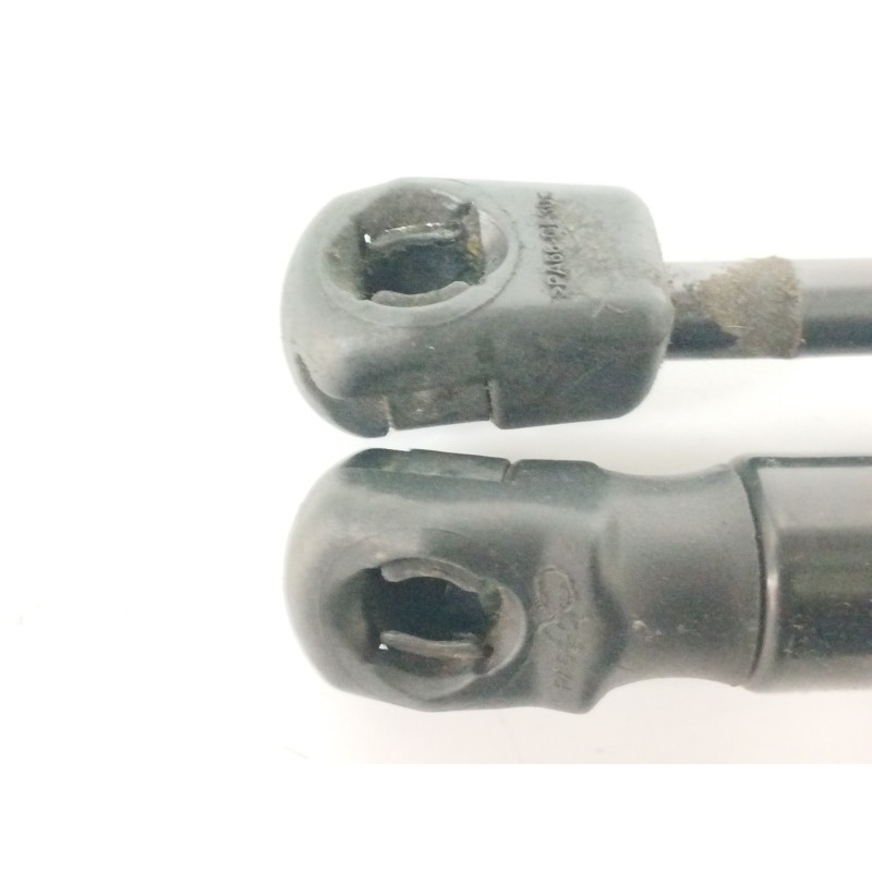 AMORTIGUADORES MALETERO / PORTON 315005777