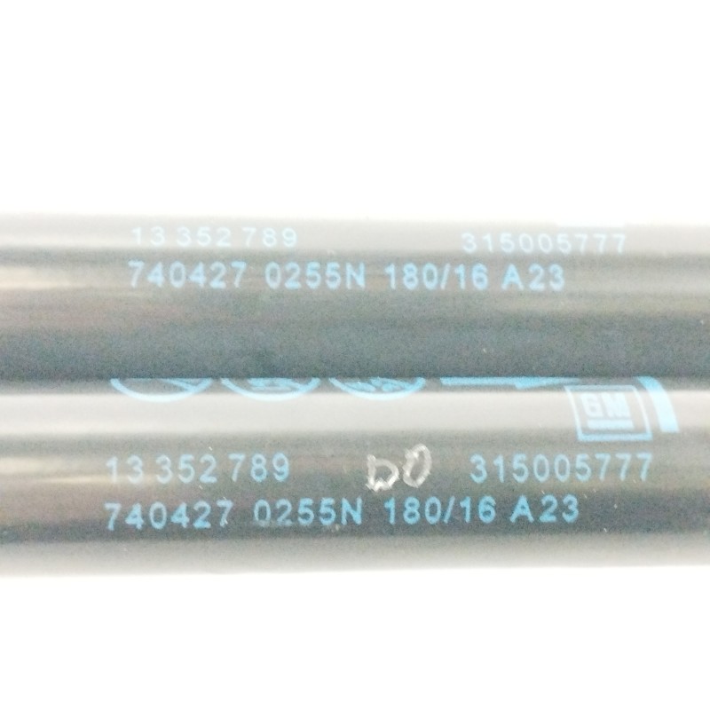 AMORTIGUADORES MALETERO / PORTON 315005777