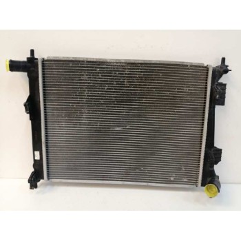 RADIADOR AGUA 253101RXXX 