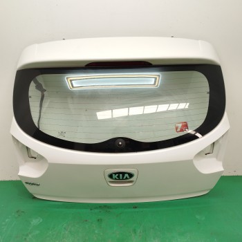 PORTON TRASERO 737001W220 