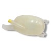 Recambio de deposito expansion para renault express iii 1.5 blue dci 95 (f6ab) referencia OEM IAM 217101878R  
