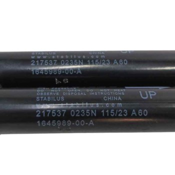 Recambio de amortiguadores capo para tesla model 3 (5yj3) ev referencia OEM IAM 164598900A  