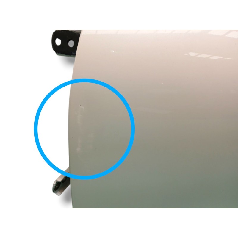 PUERTA DELANTERA IZQUIERDA