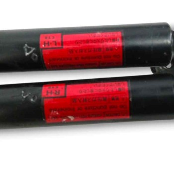 Recambio de amortiguadores maletero / porton para lexus rx 300(mcu35) 3.0 v6 cat referencia OEM IAM   