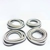 Recambio de gomas contorno puerta para seat toledo (1m2) 1.9 tdi referencia OEM IAM   