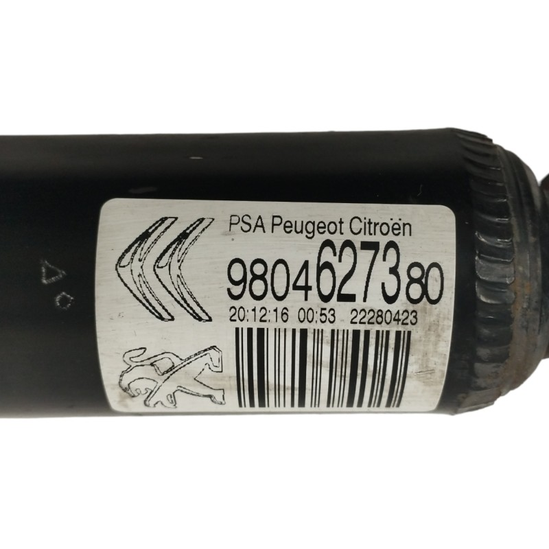 AMORTIGUADOR TRASERO IZQUIERDO