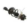 Recambio de amortiguador delantero derecho para dacia sandero 1.0 tce cat referencia OEM IAM 543021807R  