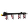 Recambio de rampa inyectora para ford fiesta berlina (dx) 1.3 cat referencia OEM IAM 98BF9D280  