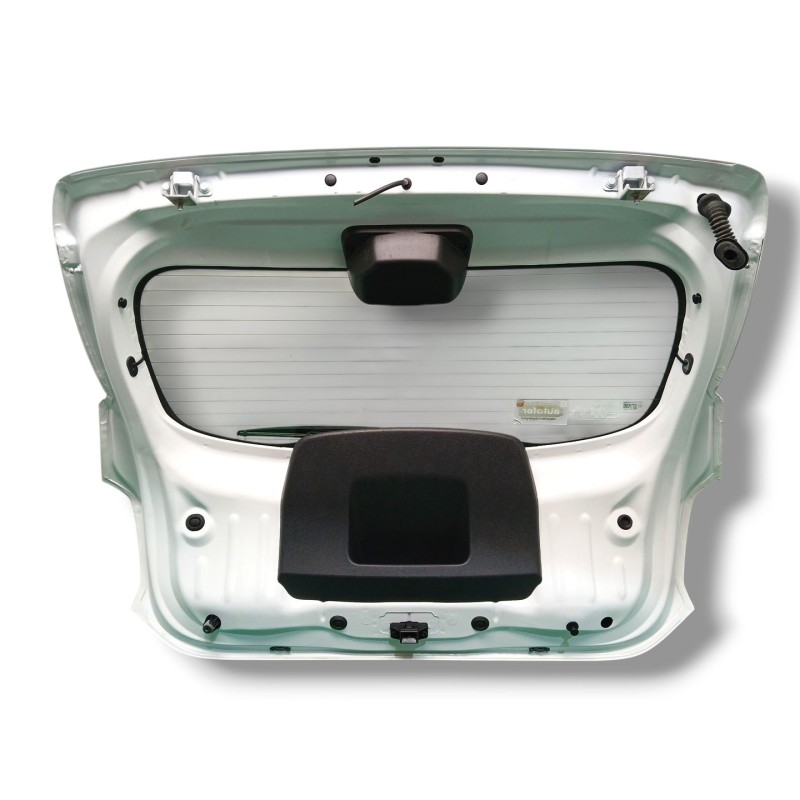 PORTON TRASERO 901003145R 901009787R