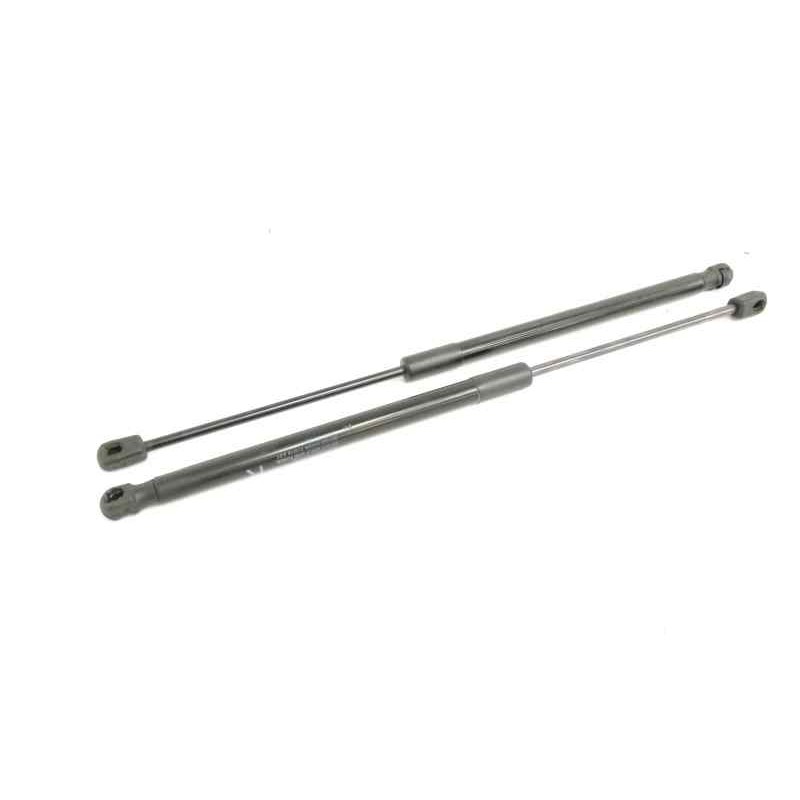 AMORTIGUADORES MALETERO / PORTON 8186086R00