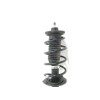 Recambio de amortiguador delantero derecho para peugeot 107 1.0 cat (384f) referencia OEM IAM 485100H010  