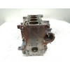 Recambio de bloque para fiat panda (169) 1.3 16v jtd dynamic referencia OEM IAM 55200513  