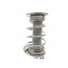 Recambio de amortiguador delantero derecho para ford mondeo ber. (ca2) 1.8 tdci cat referencia OEM IAM 6G9118045GAG  