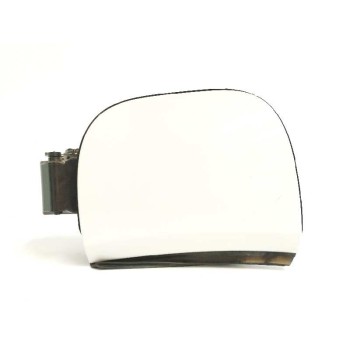 TAPA EXTERIOR COMBUSTIBLE 13461779 