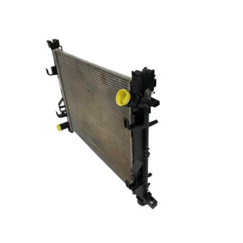 Recambio de radiador agua para dacia sandero 0.9 tce cat referencia OEM IAM 214104684R  