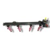 Recambio de rampa inyectora para ford fiesta berlina (dx) 1.3 cat referencia OEM IAM 98BF9E317BA 98BF9D280 