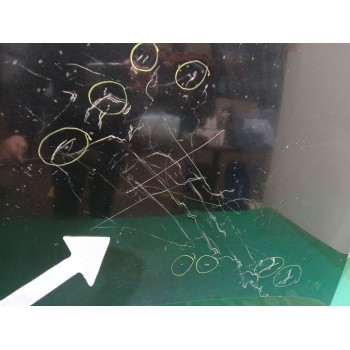 Recambio de capot para audi a5 (8t3) 1.8 tfsi referencia OEM IAM 8T0823029D  