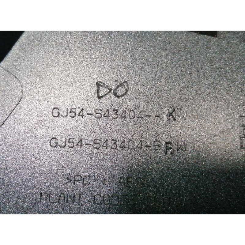 MOLDURA TRASERA PORTON AZUL