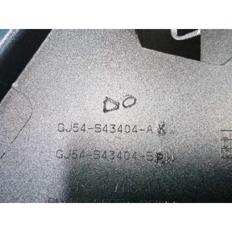 MOLDURA TRASERA PORTON AZUL