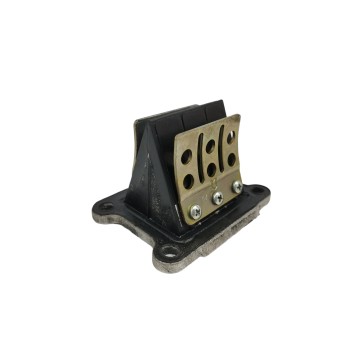 Recambio de caja de laminas para derbi gpr racing 50 racing referencia OEM IAM 2599  