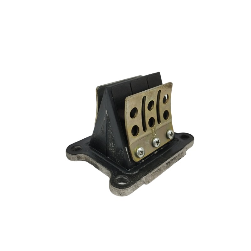 Recambio de caja de laminas para derbi gpr racing 50 racing referencia OEM IAM 2599  