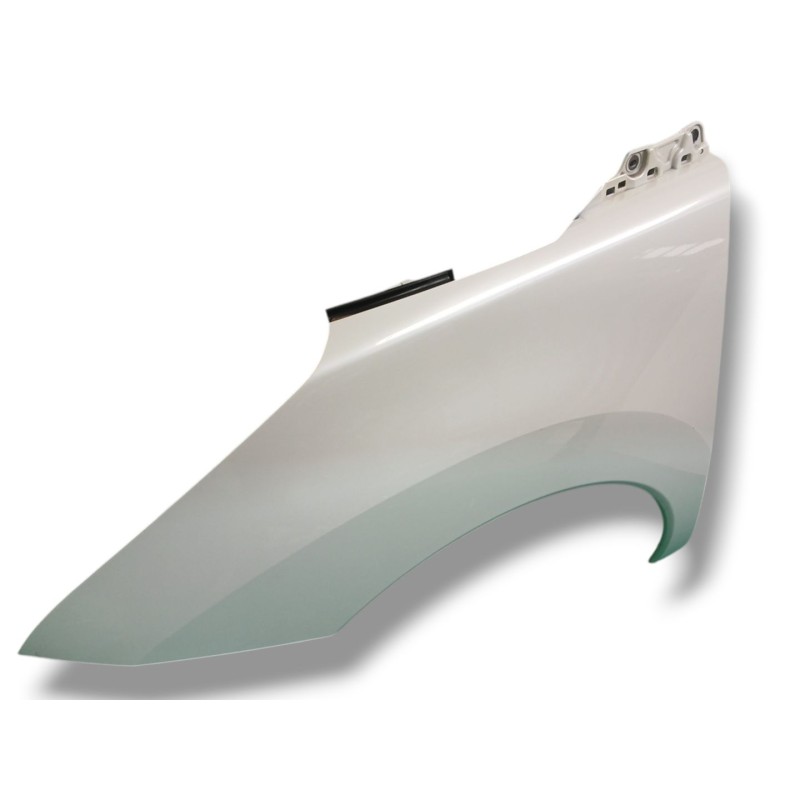 ALETA DELANTERA IZQUIERDA