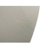 Recambio de puerta trasera izquierda para renault zoe (bfm_) z.e 40 electrico referencia OEM IAM 821013444R OBSERVAR FOTOS 