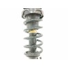 Recambio de amortiguador trasero derecho para mini mini (r50,r53) 1.6 16v cat referencia OEM IAM 33526764912 22191181 