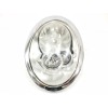 Recambio de faro izquierdo para mini mini (r50,r53) 1.6 16v cat referencia OEM IAM 6961345 PARA PULIR 301218201