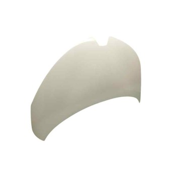 Recambio de capot para renault zoe (bfm_) z.e 40 electrico referencia OEM IAM   