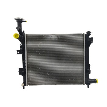 RADIADOR AGUA 253101Y000 