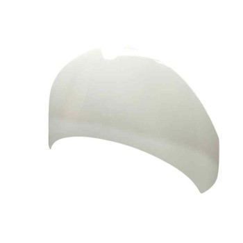 Recambio de capot para renault zoe (bfm_) zoe referencia OEM IAM   